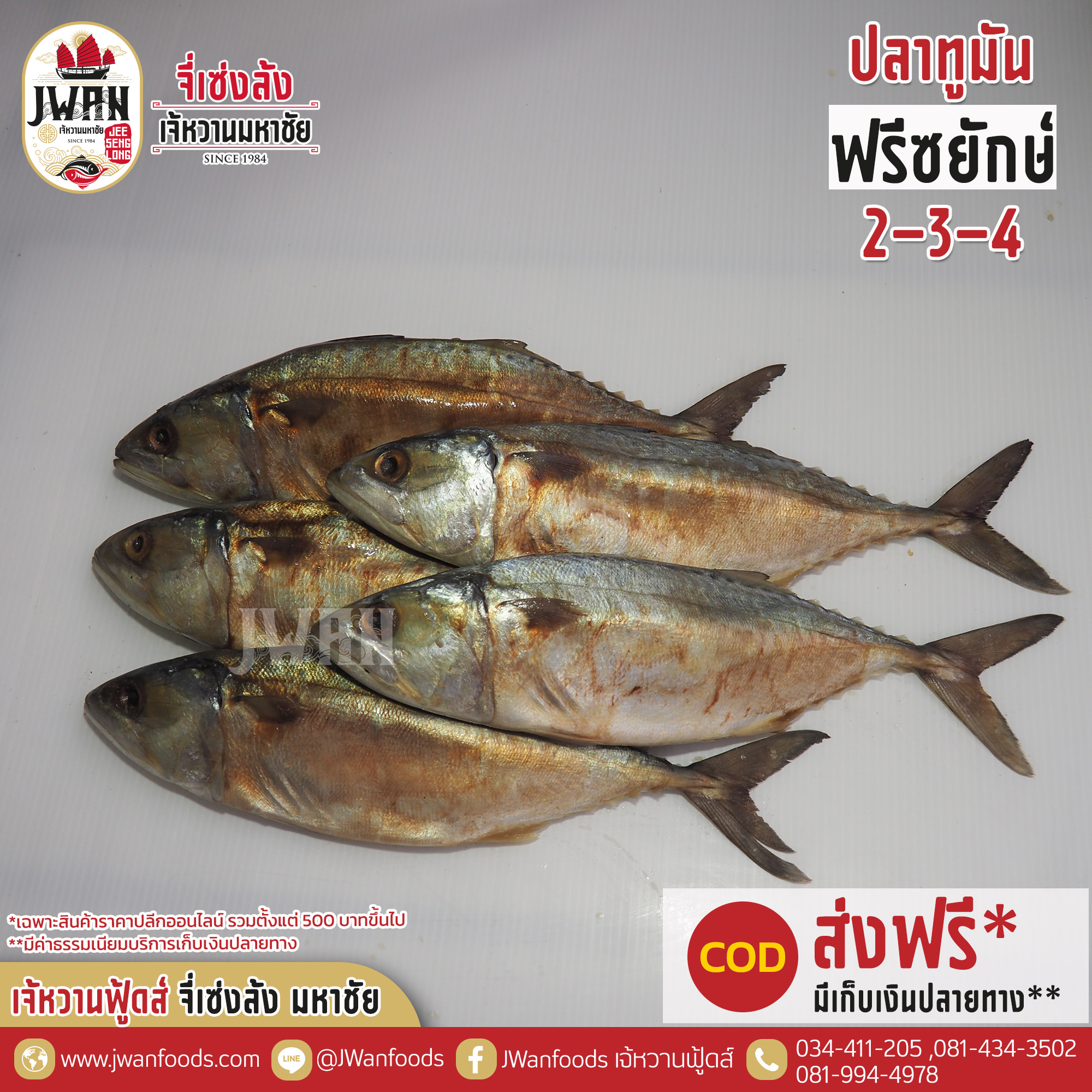 ปลาทูมันฟรีซยักษ์ 2-3-4