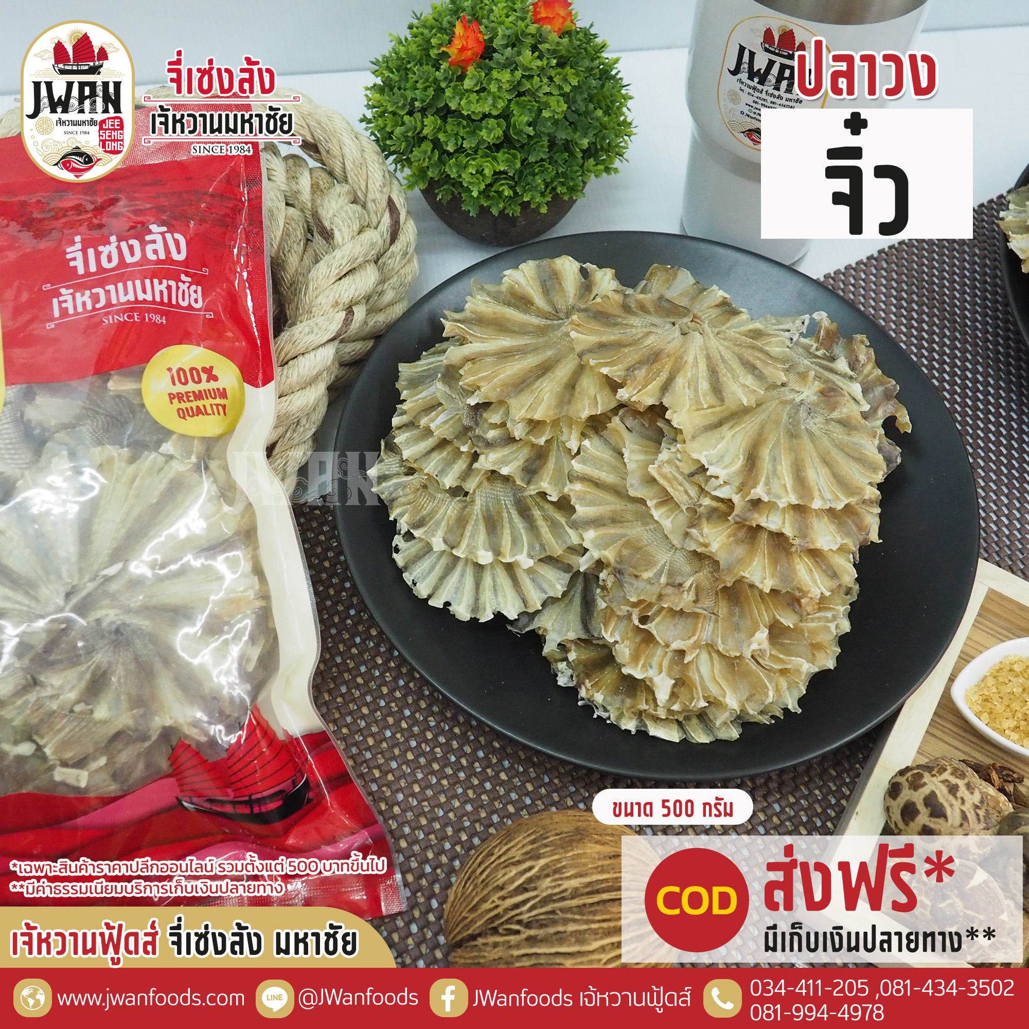 ปลาวงจิ๋ว