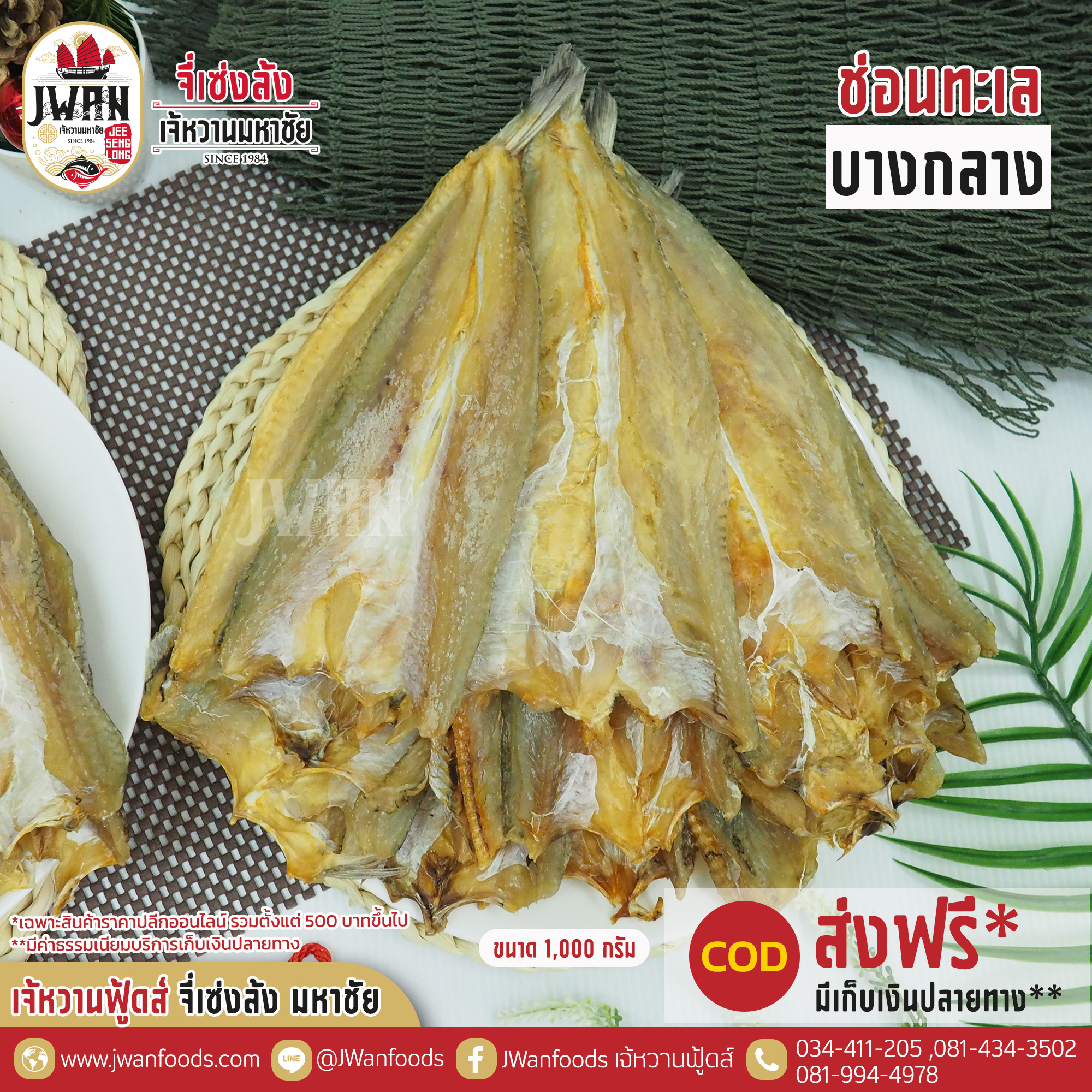 ปลาช่อนทะเลบางกลาง ณ