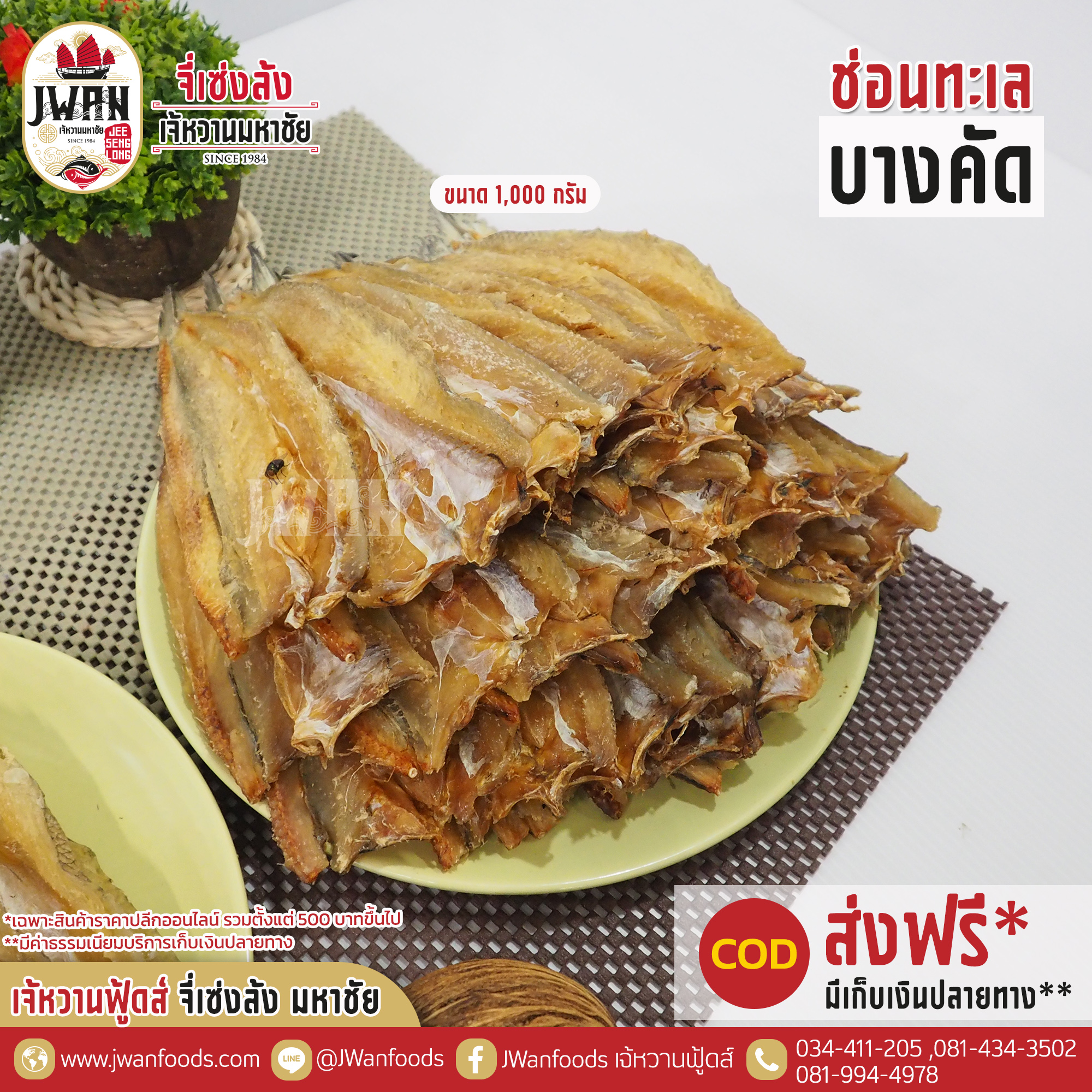 ปลาช่อนทะเลบางคัด ณ