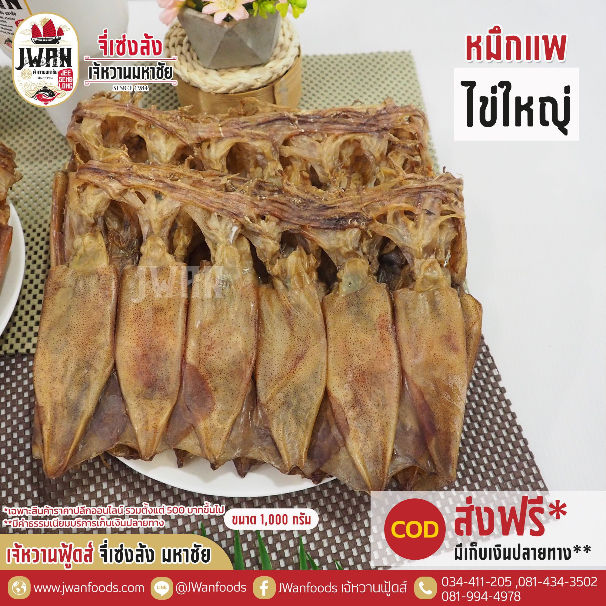 หมึกแพไข่ใหญ่